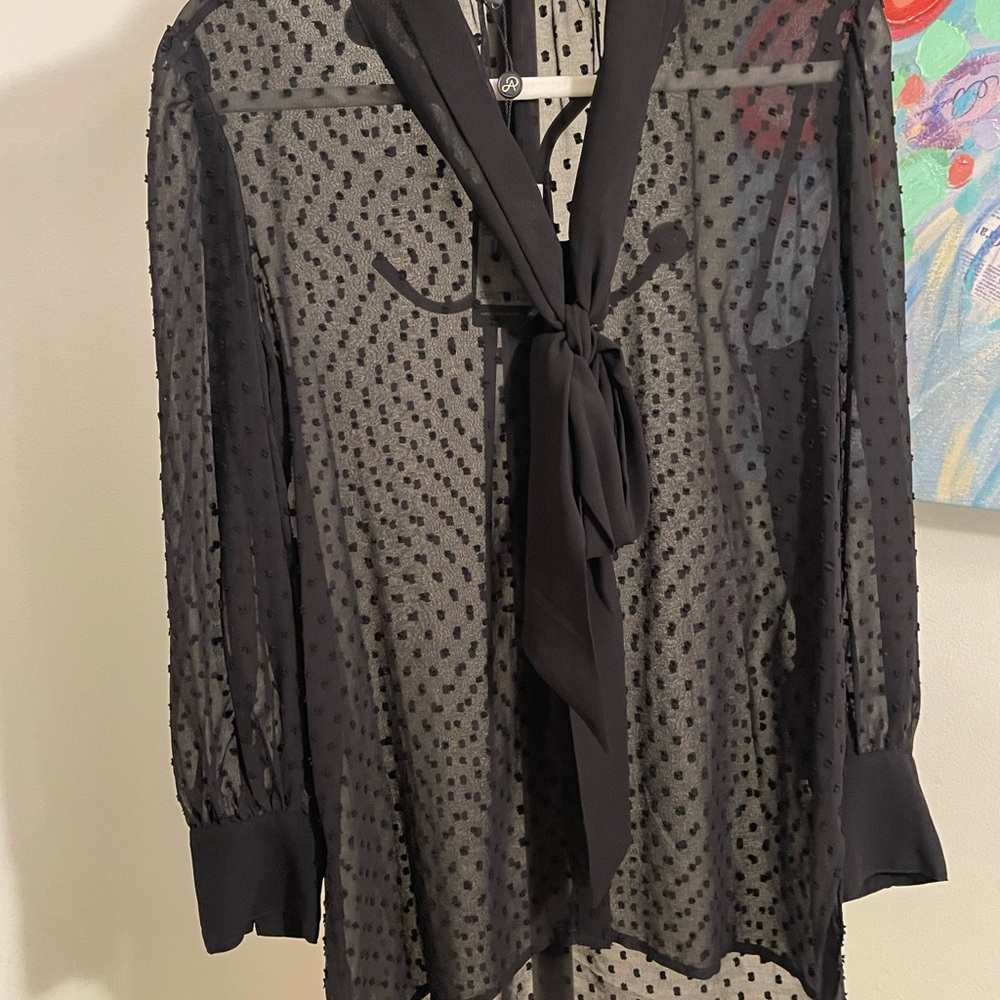 Adrianna Papell Black Sheer Tie Front Blouse